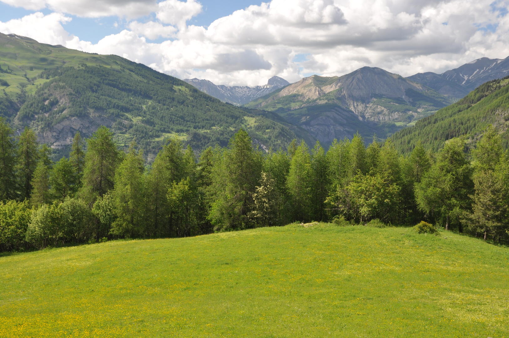 Cabane neuve