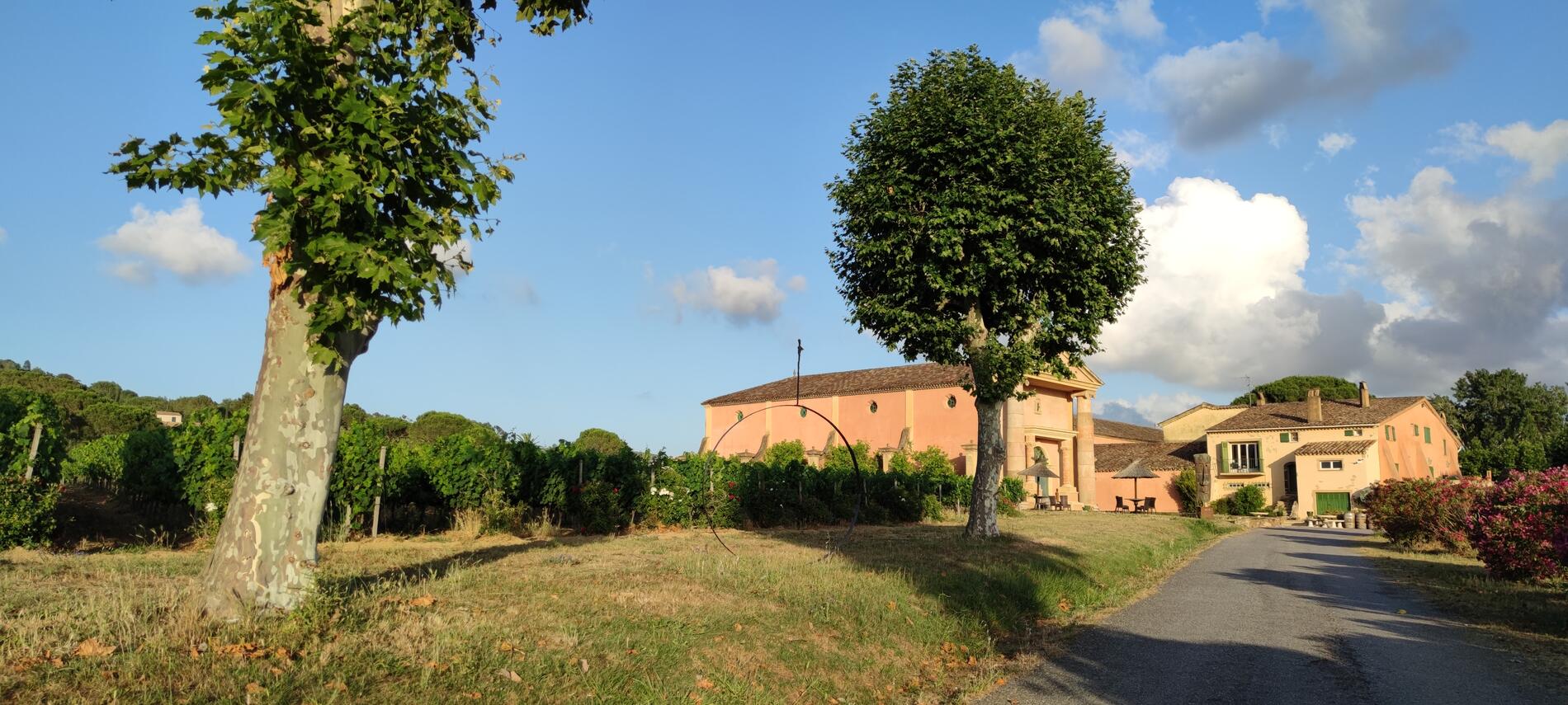 Domaine Bertaud Belieu