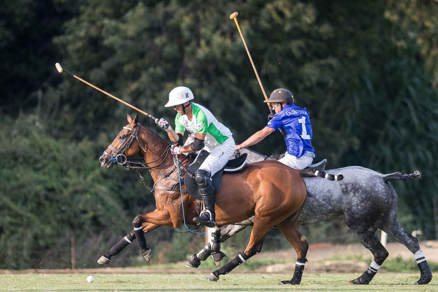 Match de Polo Haras de Gassin//gassin.eu