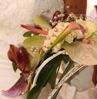 img-name-mising