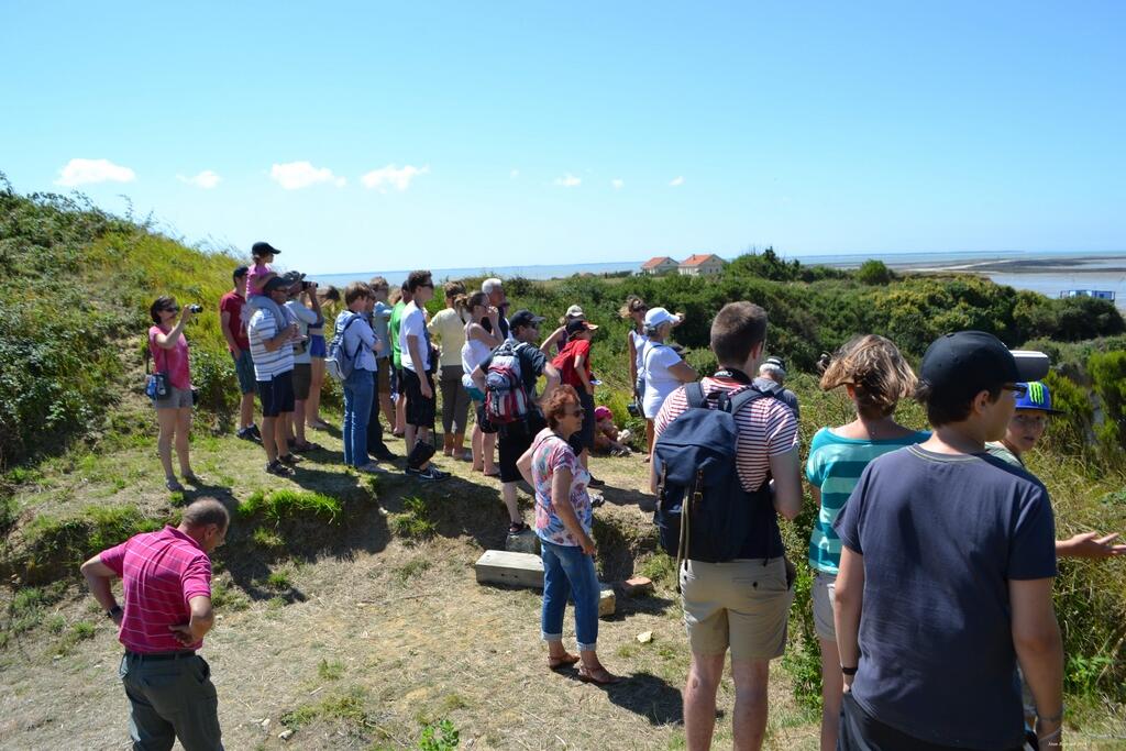 Visite guidée de l'île Madame