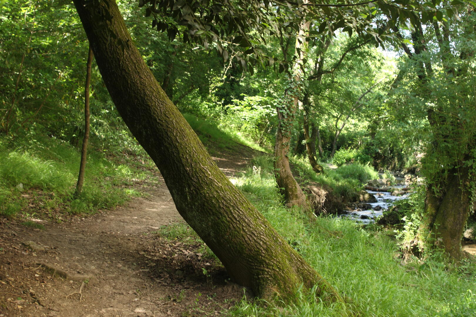 Parc départemental de la Brague