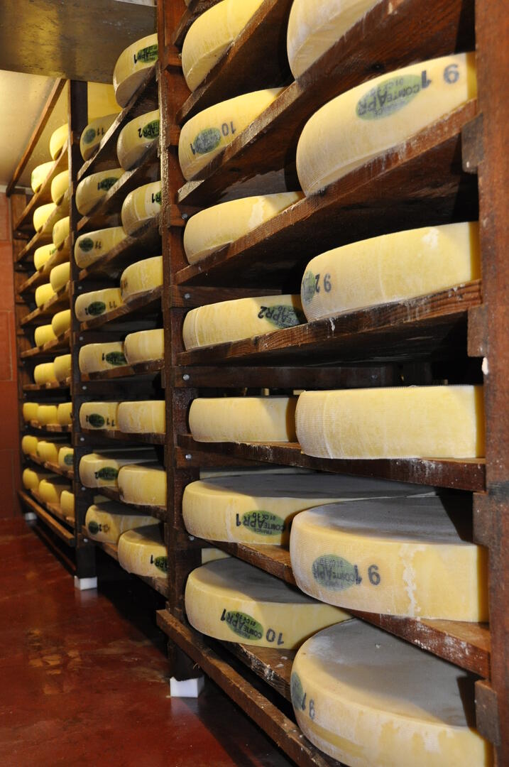 Cave à comté