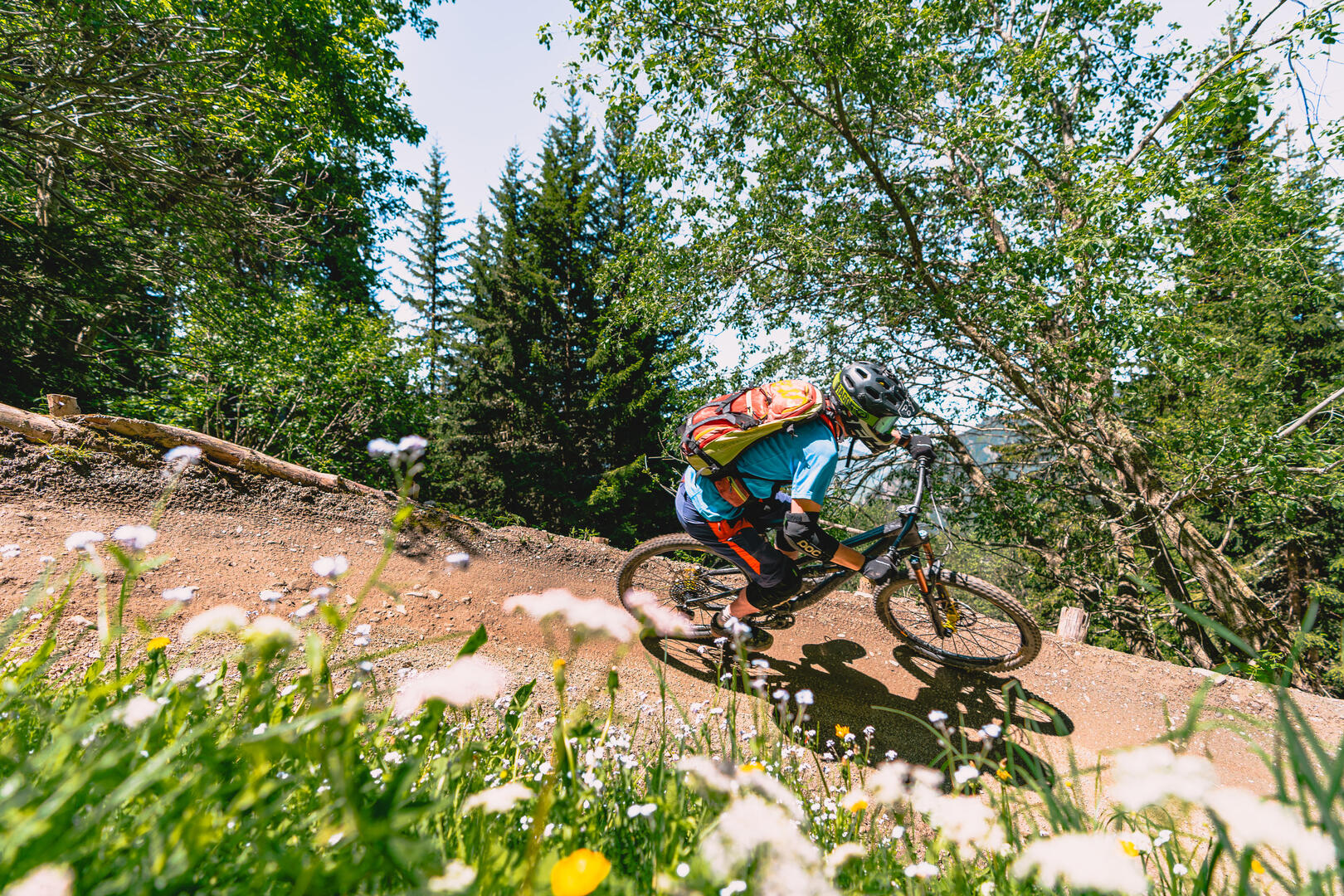DH bike