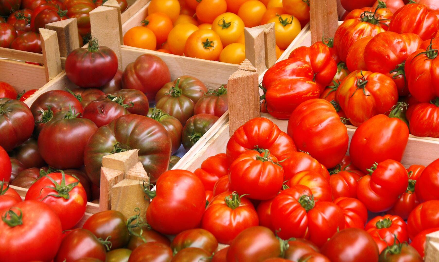Marché Provençal des Bormettes à La Londe les Maures