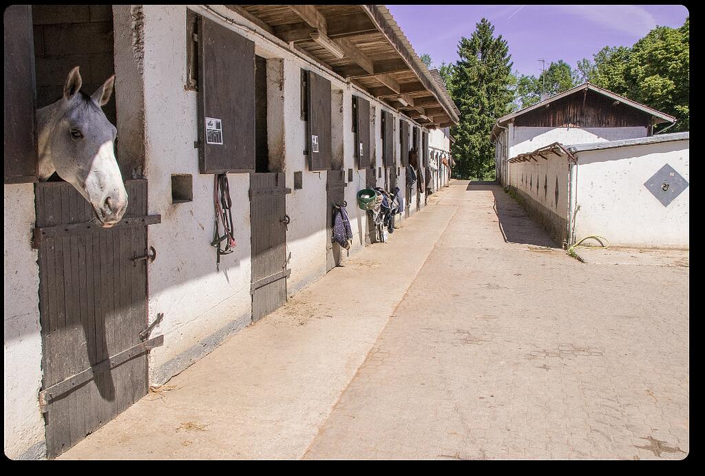 Centre équestre Neuville les Dames