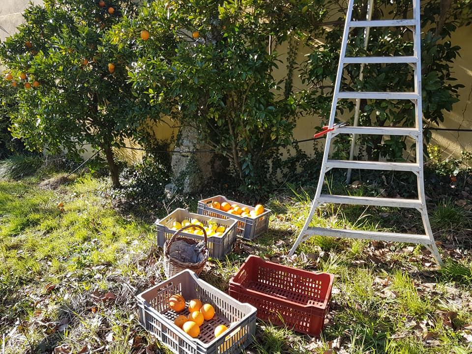 Domaine TRUCCO