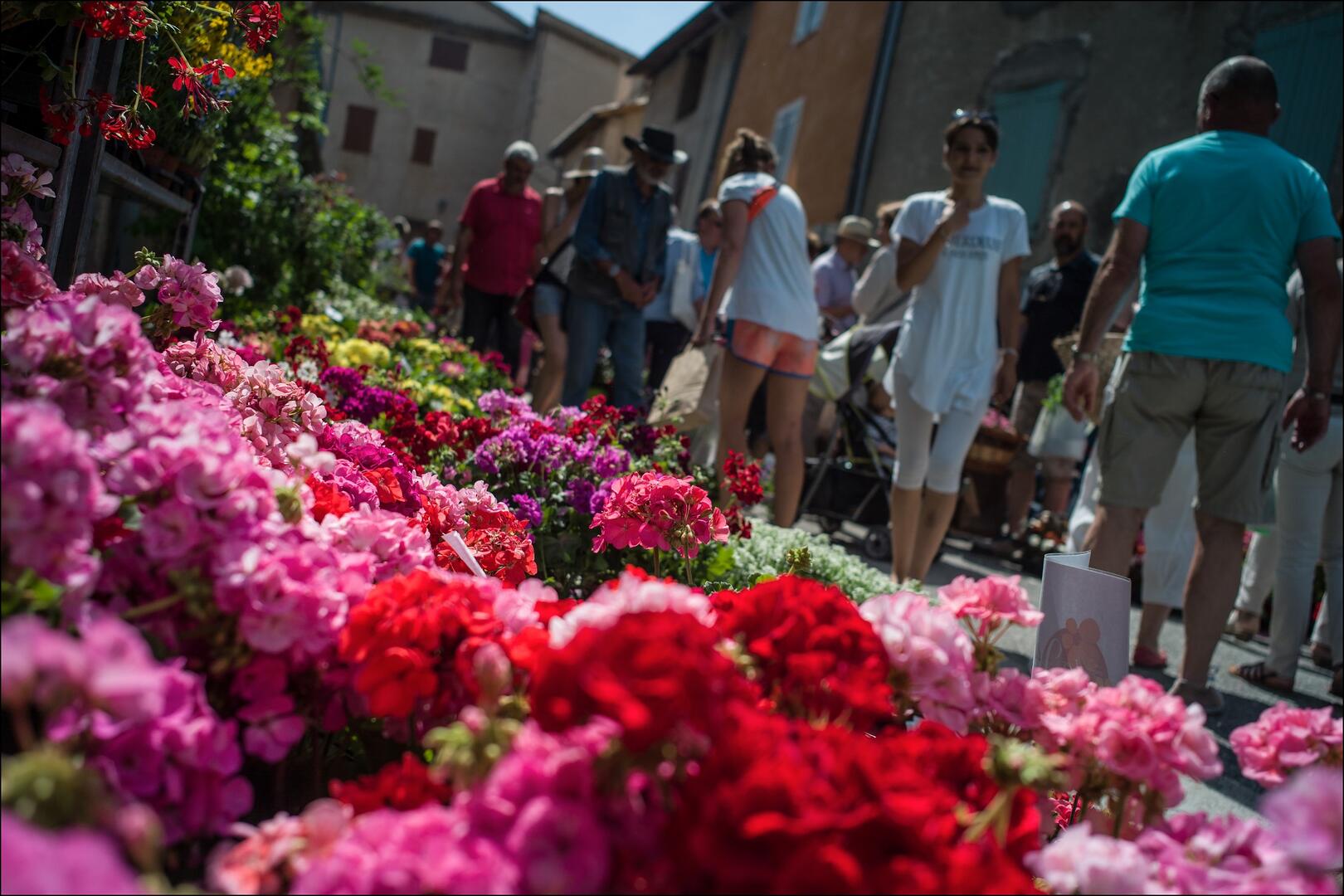Salon des plantes Moriez