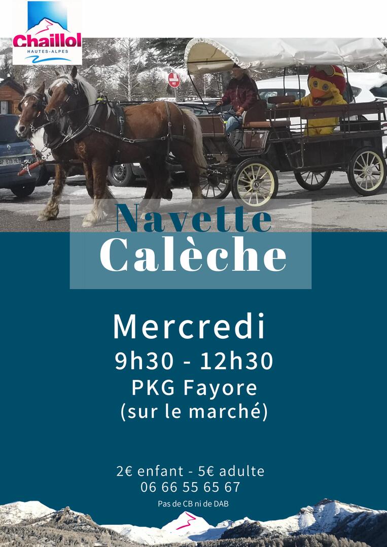 calèche decouverte