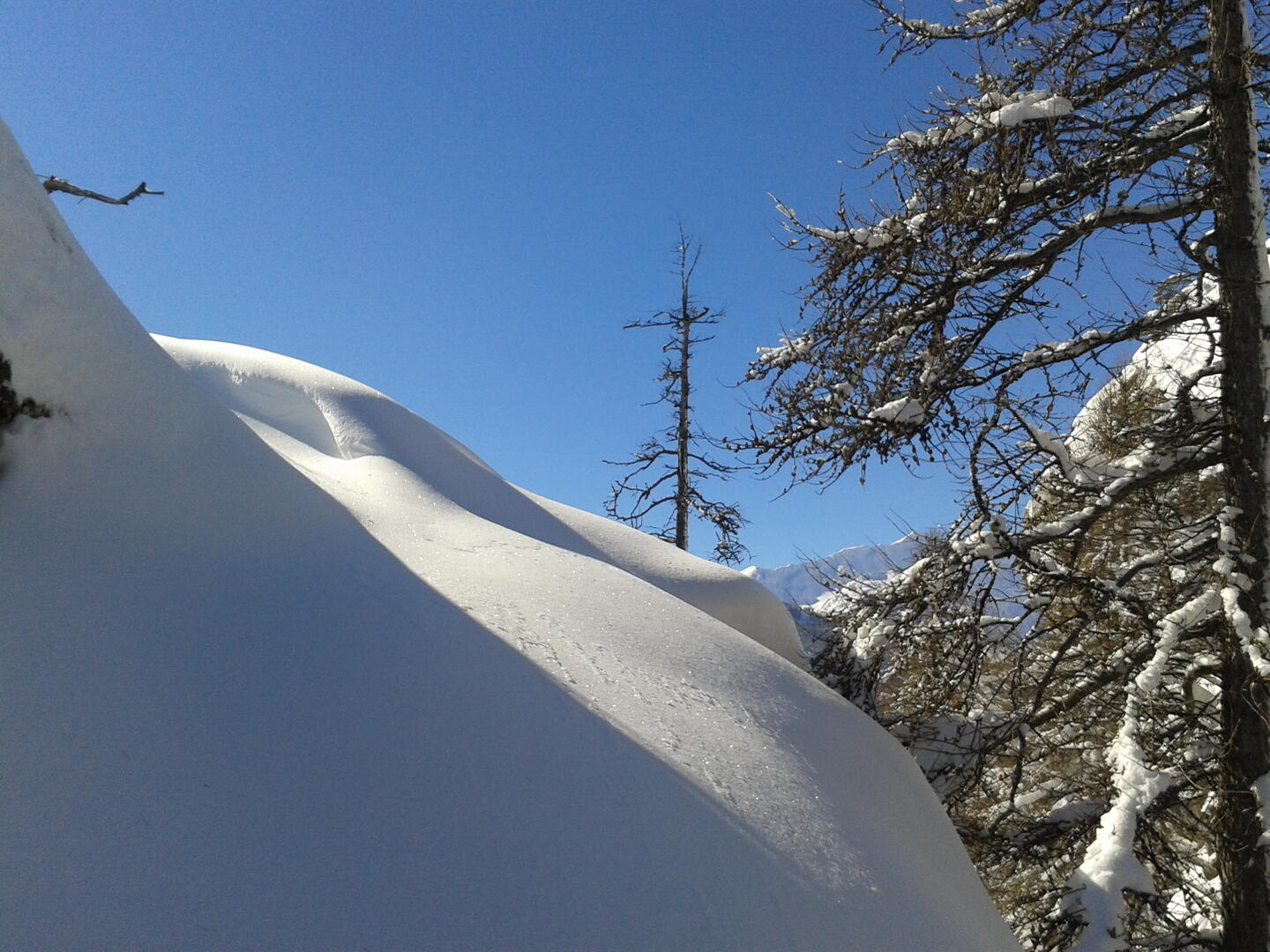 Neige poudreuse