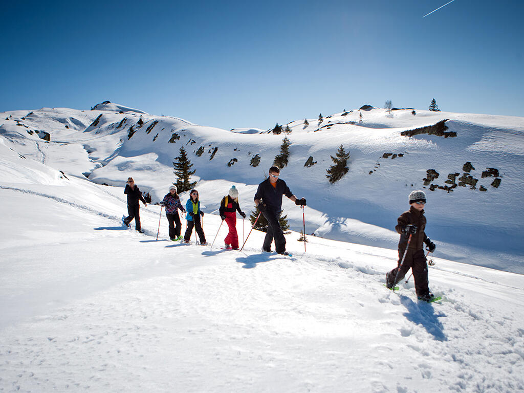 raquettes à neige
