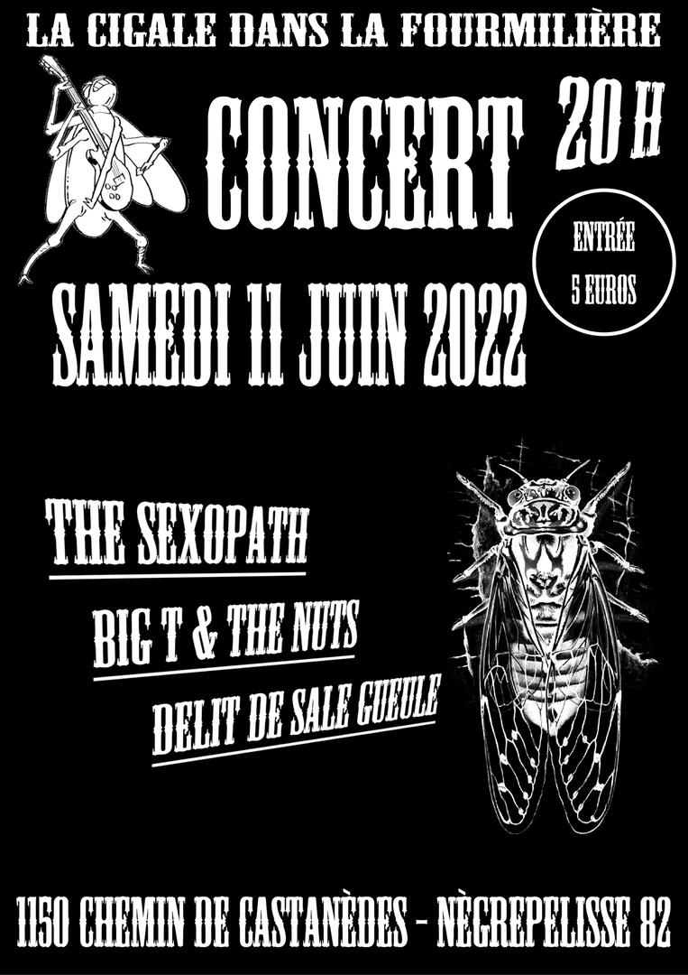 Concert