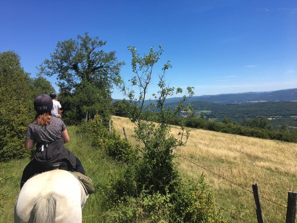 Cheval Bugey (1)