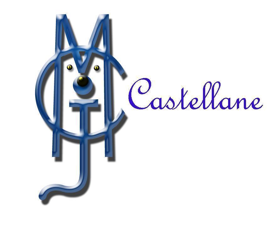 MJC Castellane