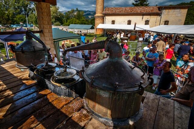 Fête de la Lavande à Barrême