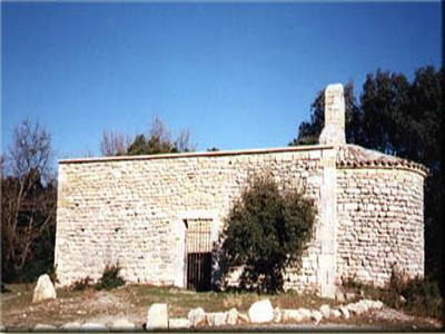 13T2001133_1_WEB.jpg