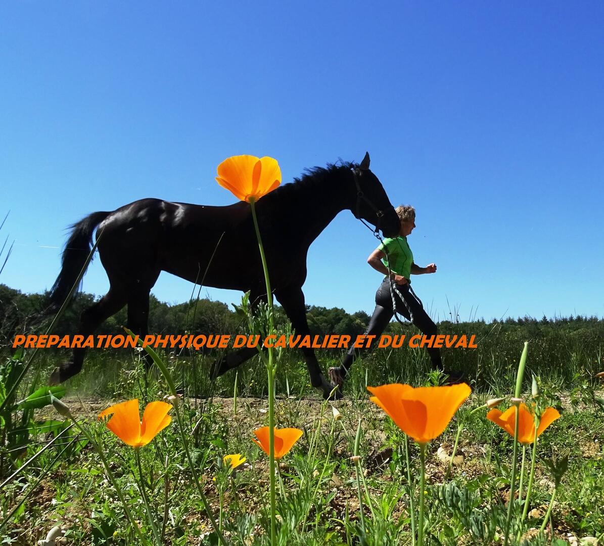 Ecurie des Etangs