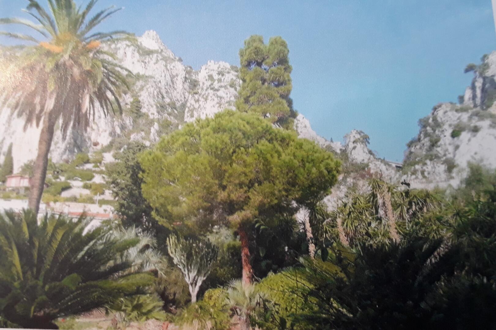Site du jardin de la villa Maria Serena