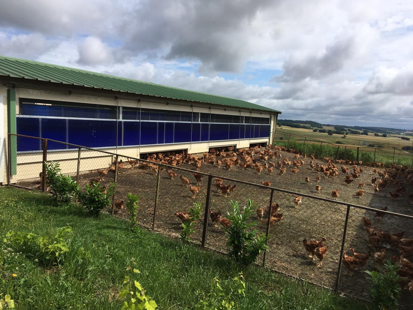 Ferme de Mounet