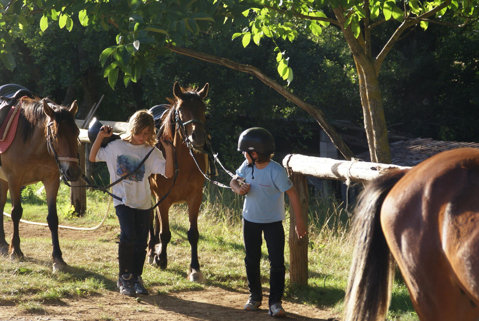 Découverte : Balade à Cheval Spécial Familles