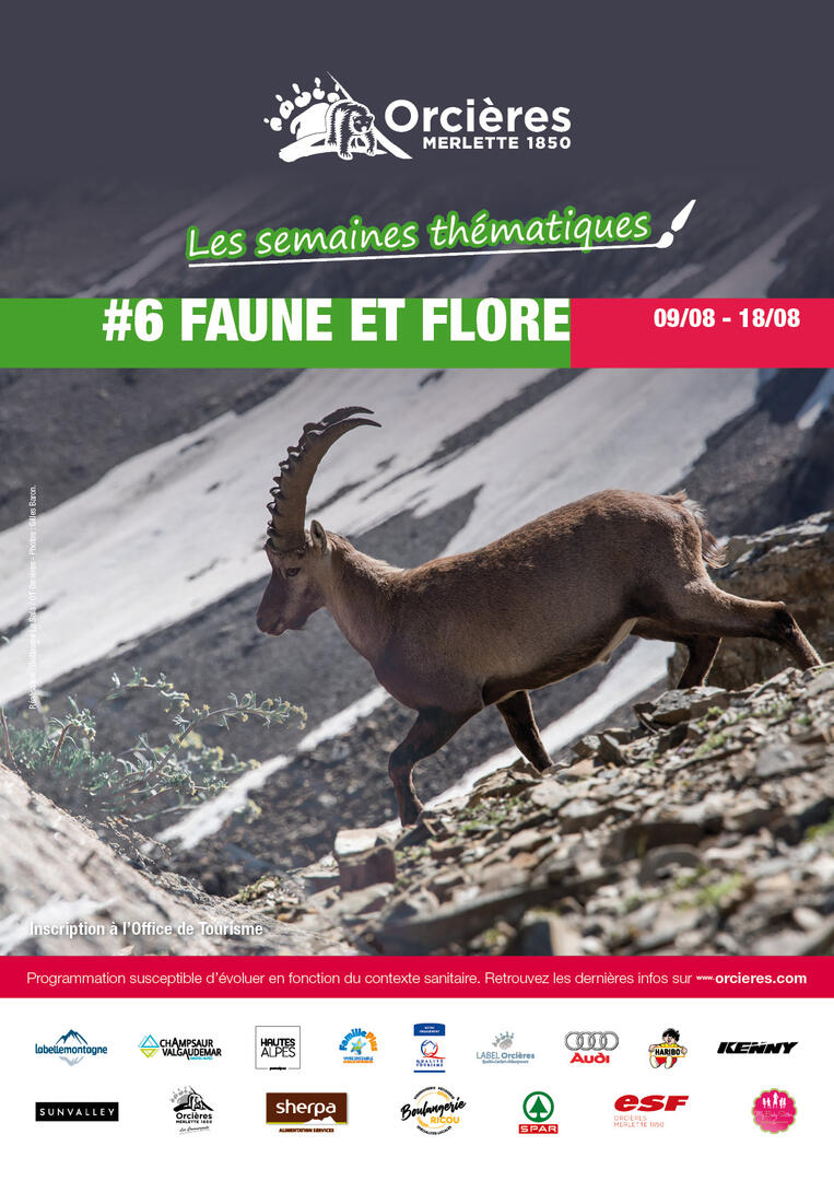 Semaine thématique "Faune et flore"