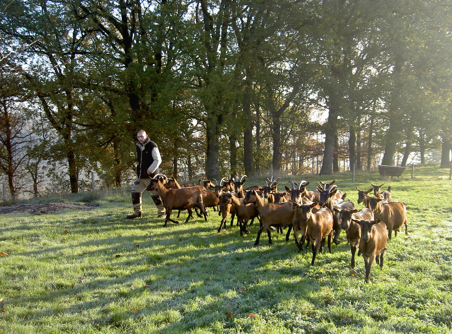 Ferme de la Clario