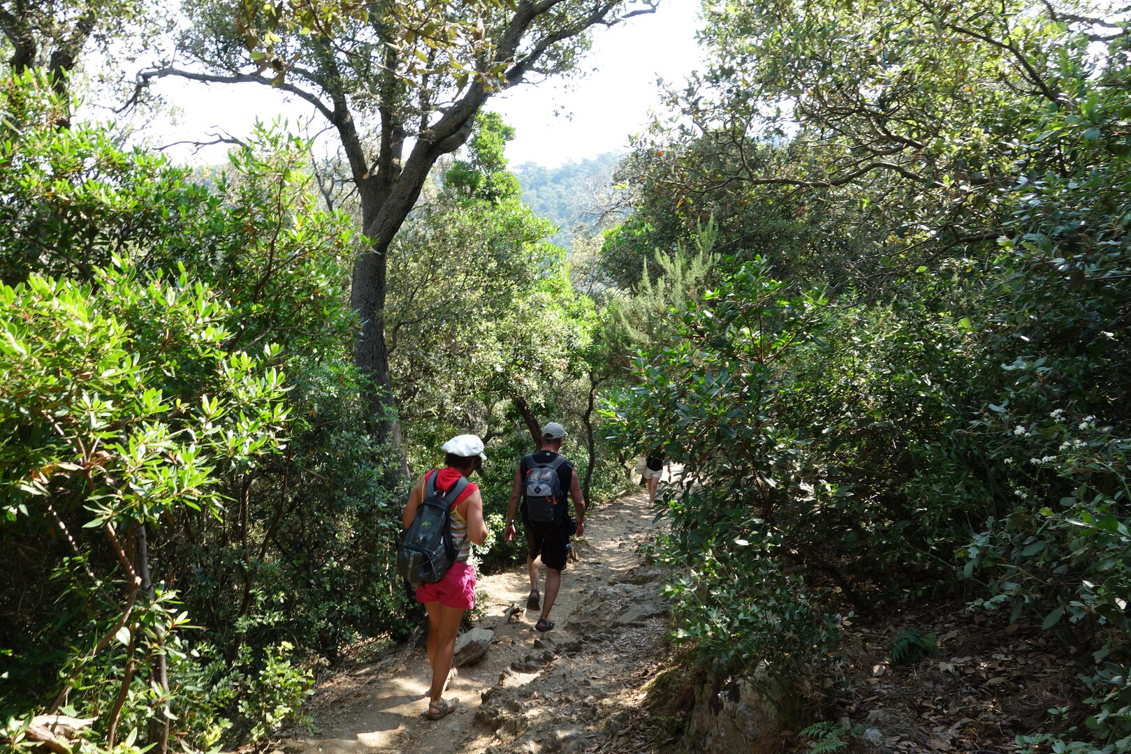 Balade nature accompagnée à Port Cros