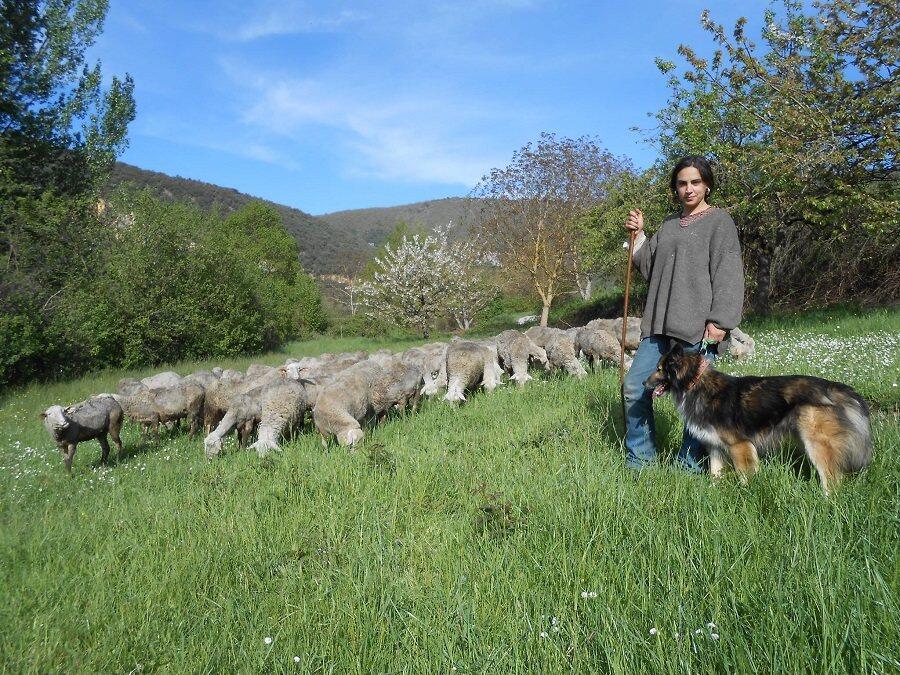 Ferme de Pinet
