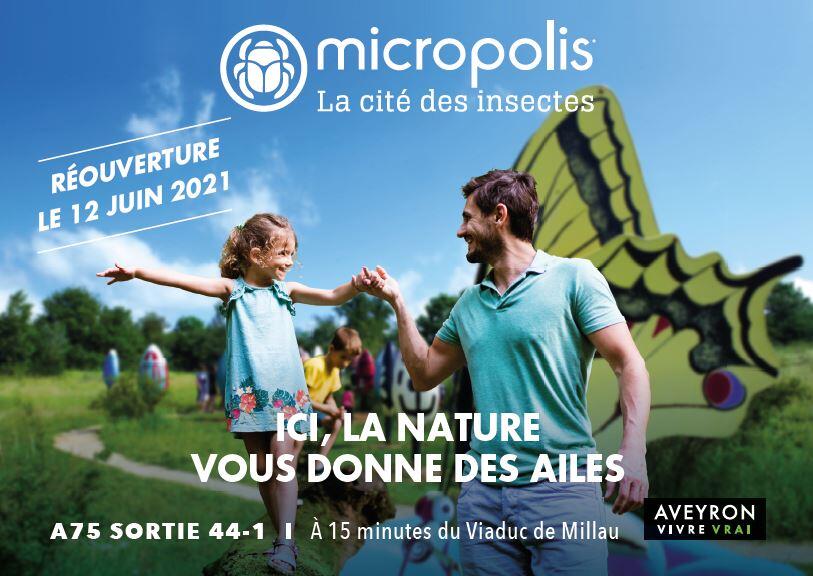 Exposition - Micropolis