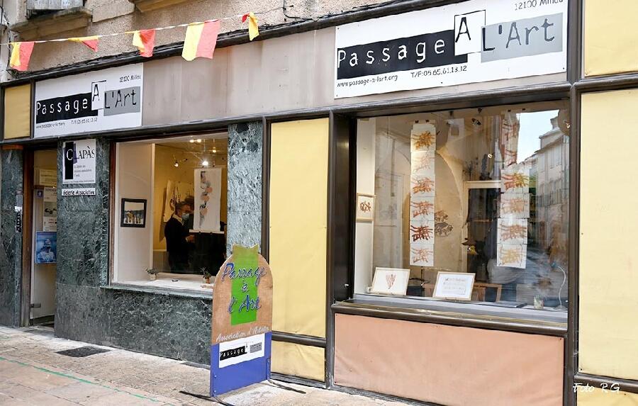 Galerie Passage à l'Art
