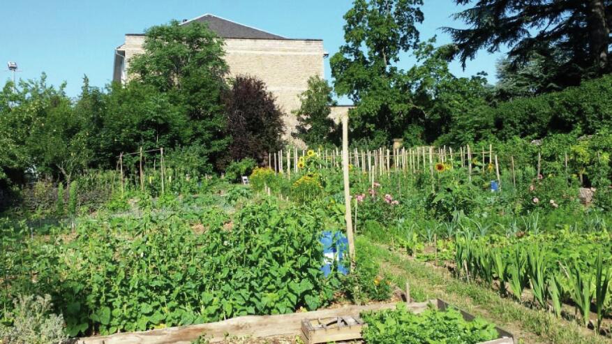 Potager de Sambucy