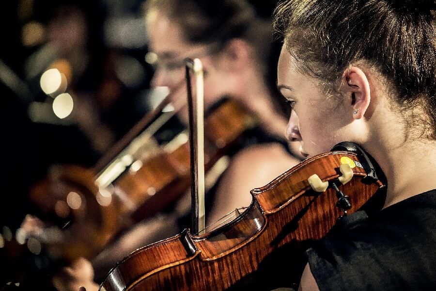 Les Soirées Symphoniques : Ensemble de Harpes