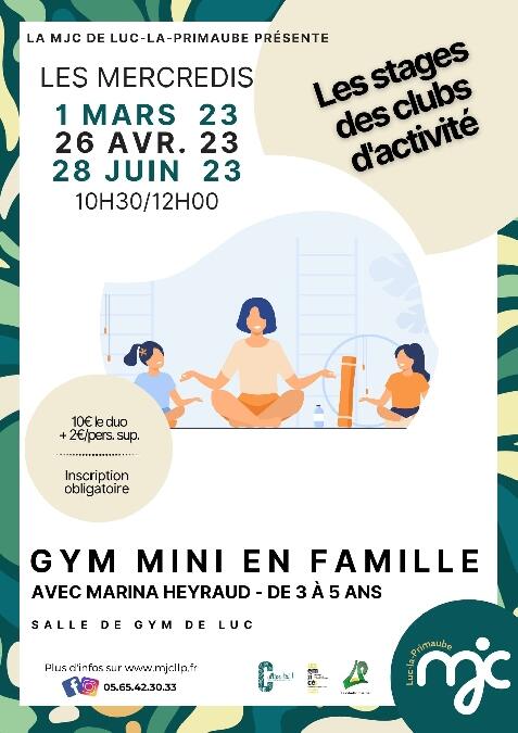 Stage de gym mini