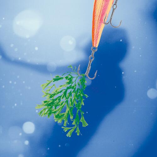 img-name-mising