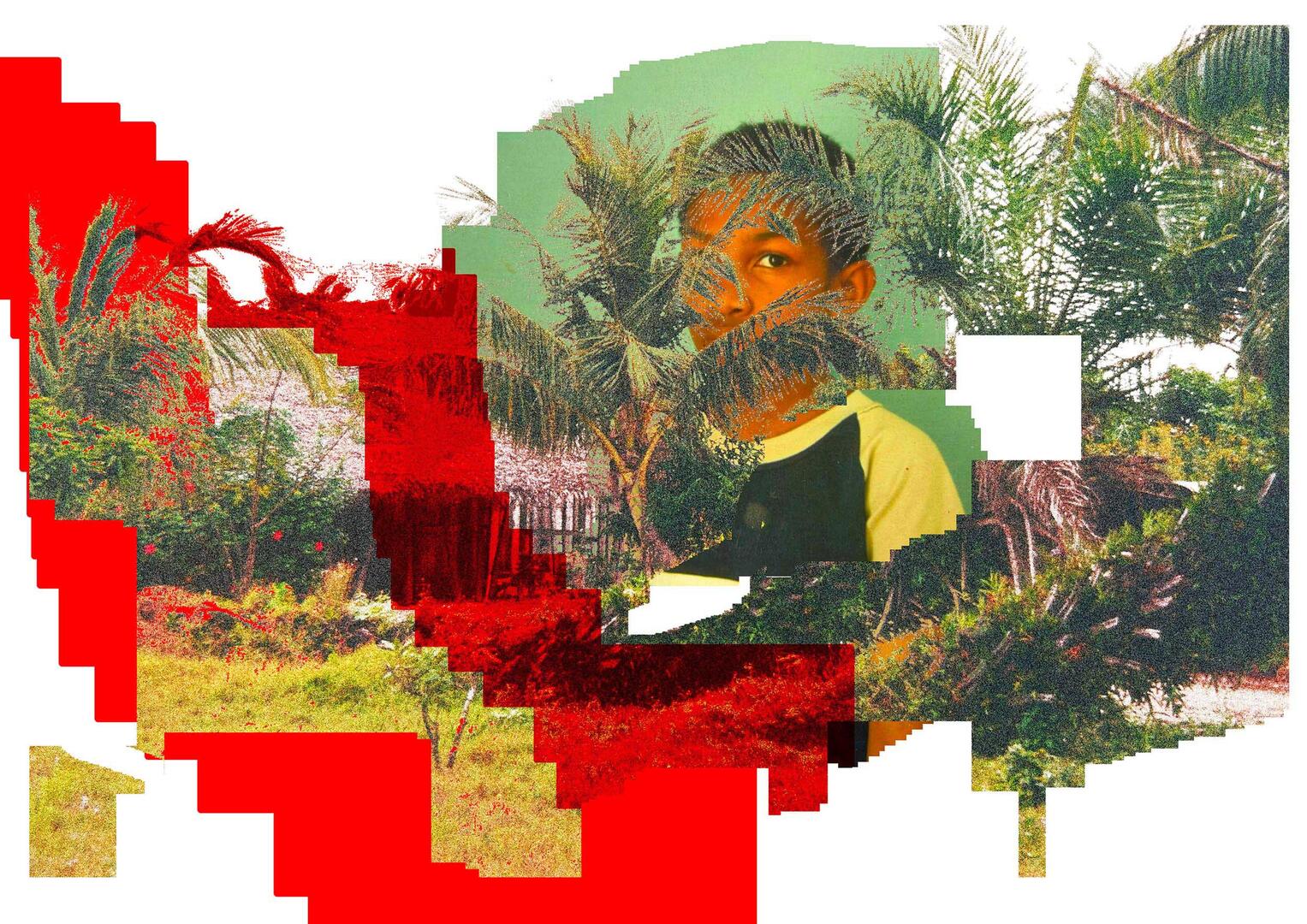 img-name-mising