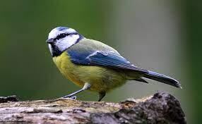 img-name-mising