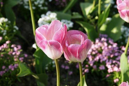 img-name-mising