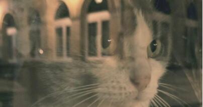 img-name-mising