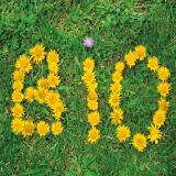 img-name-mising