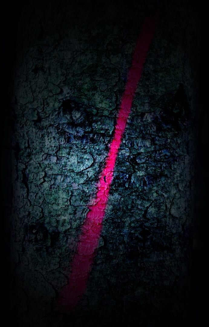 img-name-mising