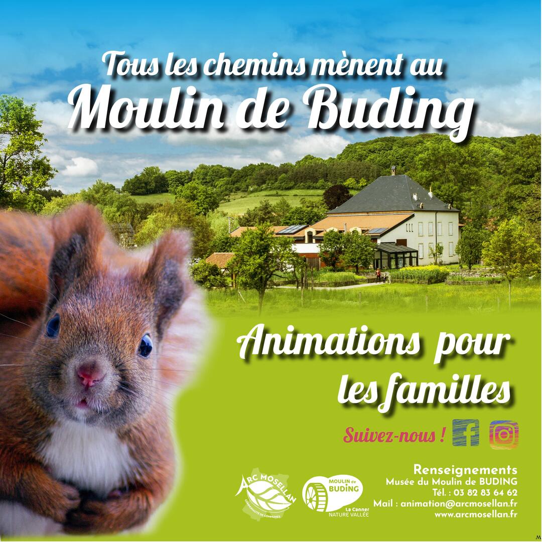 img-name-mising
