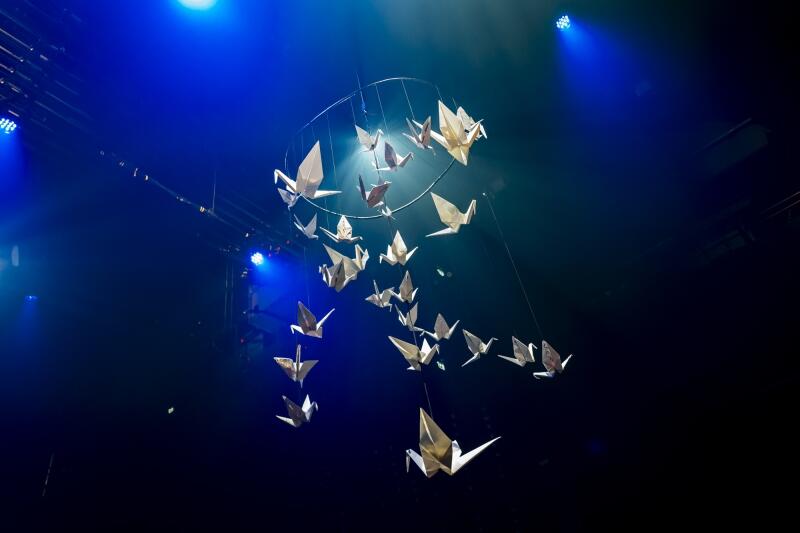 De nouveau, les oiseaux