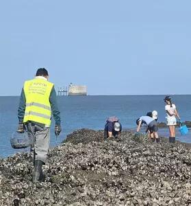 Sortie pêche à pied - APPIM