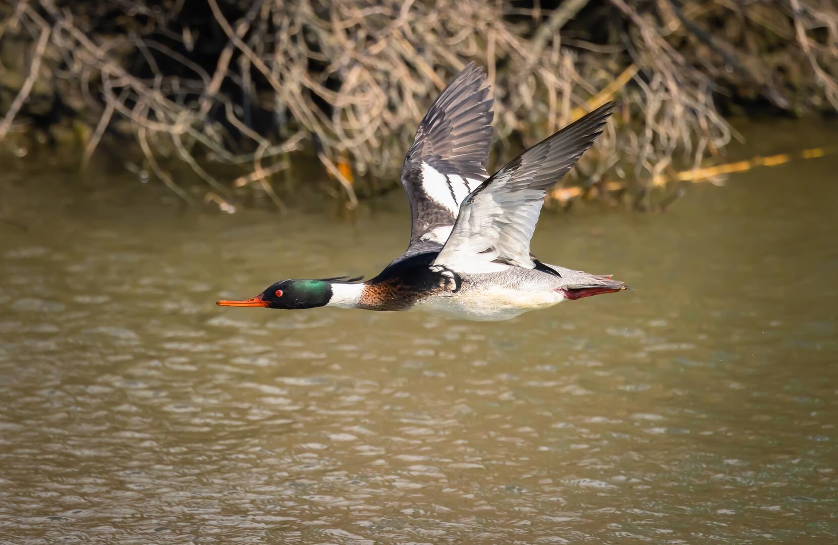 409201647_840107101455287_6035610489518127733_n