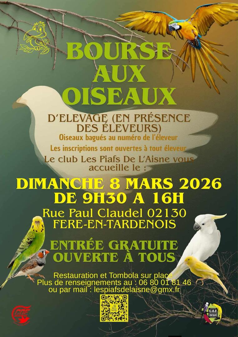 640270701_2491348704615161_2531304980878872243_n