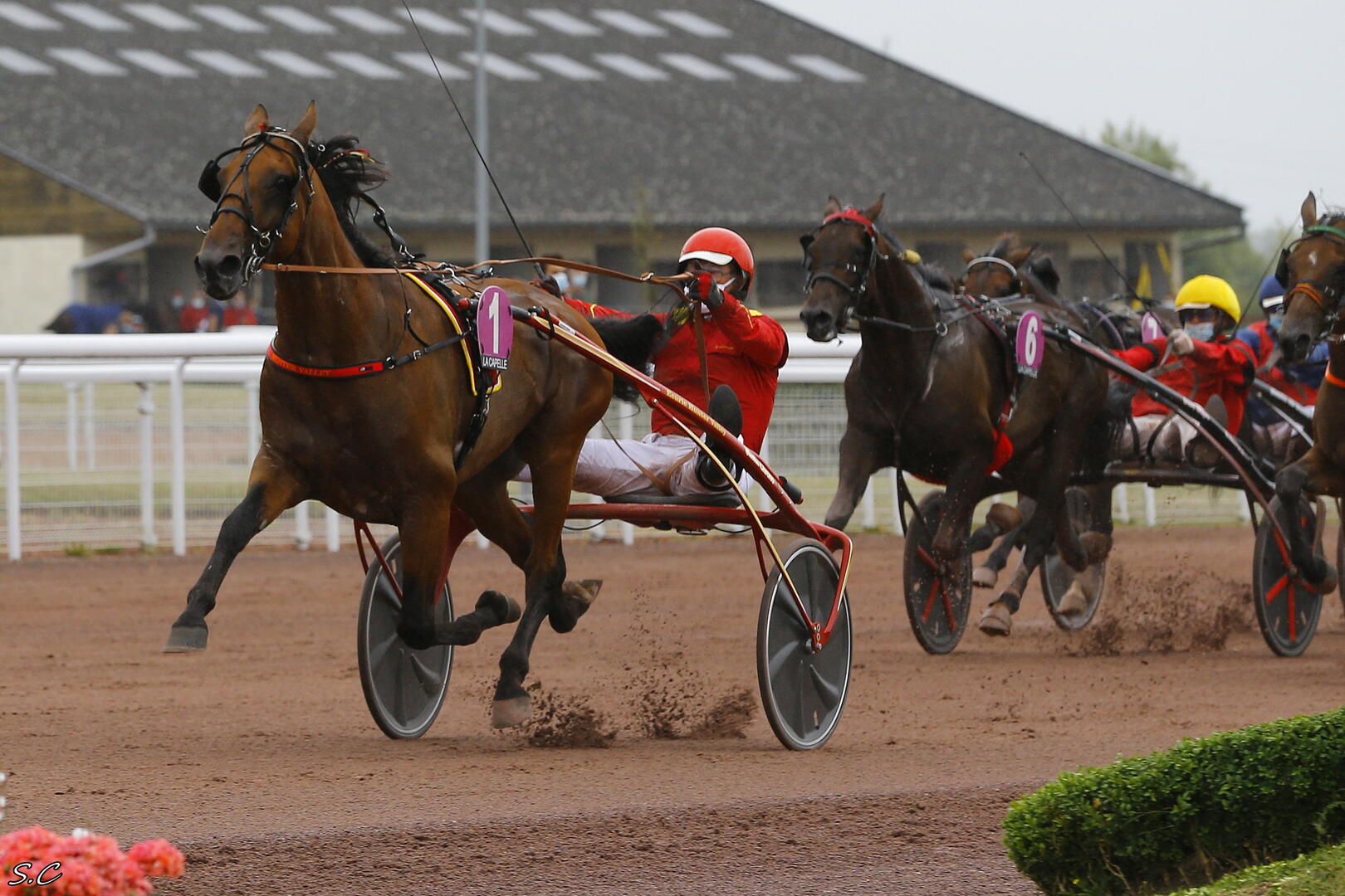 Epreuve du Trot à Grande Vitesse le dimanche 5 juillet 2020
