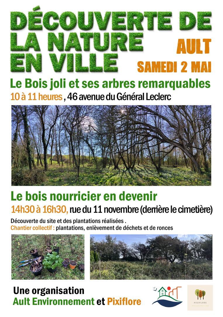 050226 - AULT - Découverte de la nature en ville