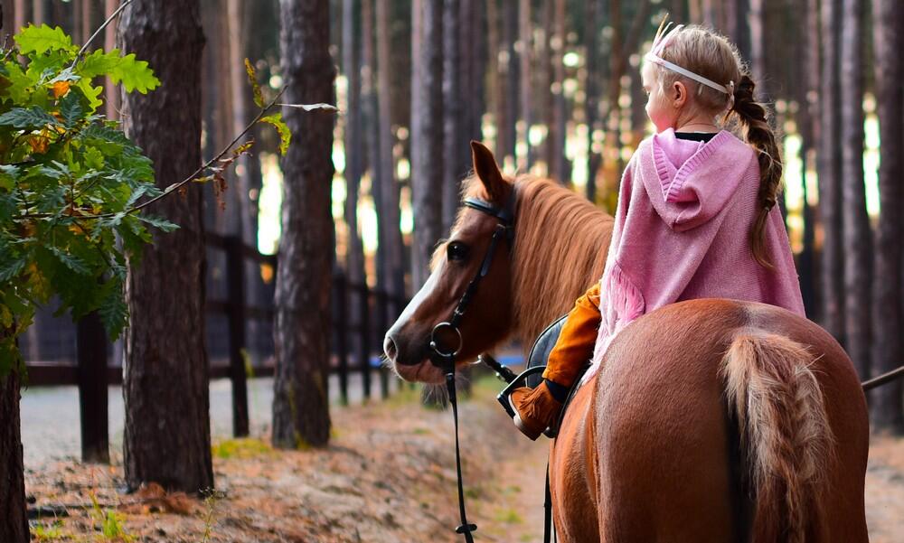 A poney © freepik