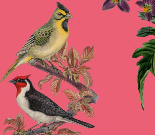 Bibliothèque de Beauchamps - 1