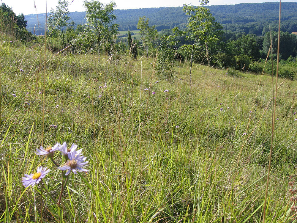 Sortie nature 2024 < Chevregny < Aisne < Hauts-de-France